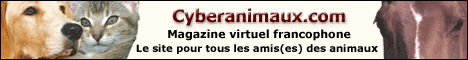 Cyberanimaux.com