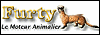 Top animalier sur Furty.com